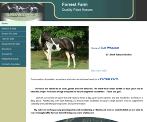 forrestfarm.com: Forrest Farm APHA Black|White Horses
Forrest Farm breeders of quality Black and White APHA horses. Moving, everything must go.