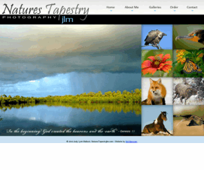 naturestapestryjlm.com: Nature Photography
Nature's Tapestry Photography exhibits digital pictues of birds, flowers, landscapes, reptiles, butterflies and wildlife. Judy Malloch is dedicated to presenting the highest quality photographs and many of the images presented on the website are prize winning.