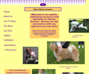 sheytibetanterriers.com: Shey Tibetan Terriers
Tibetan Terrier Breeder in MN, pictures of Tibetan terriers