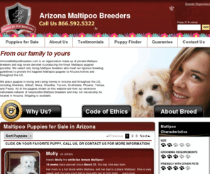 arizonamaltipoobreeders.com: Arizona Maltipoo Breeders.com
Arizona Maltipoo Breeders.com is an association made up of the finest Maltipoo breeders and dog lovers devoted to breeding the healthiest Maltepoo puppies possible.