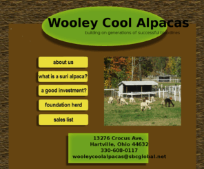 wooleycoolalpacas.com: Wooley Cool Alpacas
Wooley Cool Alpaca Farm