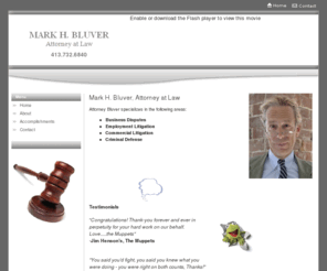 mbluverlaw.com: Mark H. Bluver | Attorney at Law | Home
Mark Bluver is an attorney in Springfield specializing in Business Disputes, Employment and Commercial Litigation, and Criminal Defense.