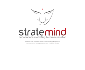 stratemind.com: StrateMind, performance marketing & communication
StrateMind, performance e-business marketing & communication