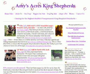 amysacres.com: King Shepherd Puppies for Sale
Amy's Acres King Shepherds, located in north central Michigan, aims for the highest breeding health and temperament standards in the King Shepherd breed.