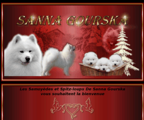 sannagourska.com: SANNA GOURSKA KENNEL - Elevage de Samoyède & Keeshond ou Spitz-loup
Samoyède (Samoyed) et Spitz-loup (ou Keeshond, wolfspitz) - Elevage Passion de chiens de Race, haute selection, vente de chiots et expositions canines