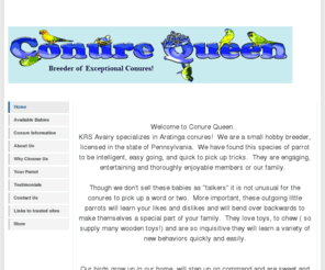 conurequeen.com: Conure Babies l Breeder of Exceptional Conures - Home
Conure Queen, Conure Breeder, Conure Breeder NJ 