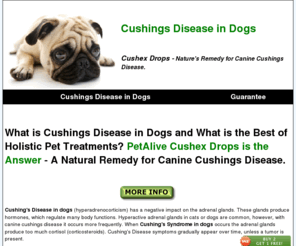 cushings-disease-in-dogs.com: Cushings Disease in Dogs - Try Cushex Drops -  Canine Cushings Disease
Cushings disease in dogs. Try PetAlive Cushex Drops - one of the best holistic pet treatments available for cushings syndrome in dogs. Manage canine cushings disease without hurting your dog.