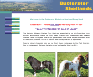 butterstor.co.uk: Miniature Shetland Ponies For Sale - Butterstor Shetland Pony Stud, Devon, UK
Shetland ponies for sale. Butterstor Shetland Pony Stud, breeders of miniature Shetland ponies. Foals and older ponies for sale. Situated in Devon in South West England.