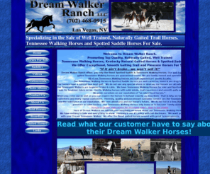 dreamwalkerhorses.com: tennessee walking horses for sale Trail horses gaited horses
<meta name=