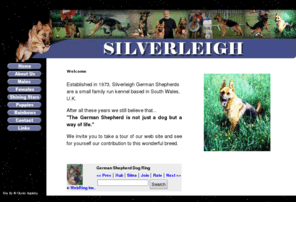 silverleigh-gsd.com: www.silverleigh-gsd.com. Free web site hosted by Freeola.com
