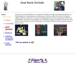 sealrockorchids.com: Seal Rock Orchids. A small orchid nursery offering quality orchid
plants at reasonable prices.
A small orchid nursery offering quality orchid plants at reasonable prices. Shipping is FREE with a small minimum purchase.