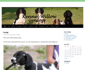 kennelwillow.dk: Kennel Willow
Velkommen hos Kennel Willow. Du kan lse mere om vores f.t. spaniels og meget andet