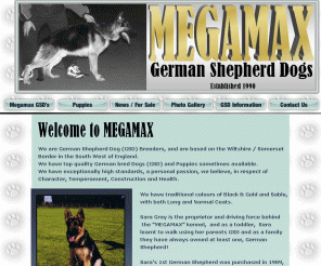 megamax-gsd.co.uk: MEGAMAX German Shepherd Dogs/Puppies
Megamax German Shepherd Dogs (GSD) Kennels Home Page. Breeders of top quality German Shepherd Dogs and puppies, based on Somerset / Wiltshire Border of UK, since 1990. Kennel Club Accredited Breeder. Black & Gold and Sable GSD Puppies sometimes for sale. 