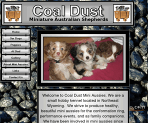 coaldustkennel.com: Coal Dust Mini Aussie Home Page
