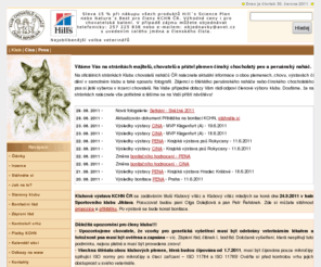 klubchovatelunahacu.cz: KCHN, čínský chocholatý pes a peruánský naháč
KCHN - klub chovatelů naháčů, plemena čínský chocholatý pes a peruánský naháč