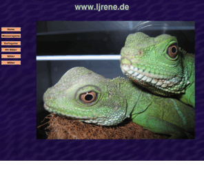 reneheil.com: www.ljrene.de
Wasseragame, Bartagame