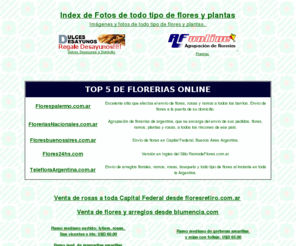 floreriasonline.com.ar: Fotos de Flores y Plantas - Envío de flores en argentina y todo el mundo
Imágenes y fotos de todo tipo de flores y plantas. Fotos de rosas, claveles, gerberas, margaritas, lilyum, iris, san vicente, clavelinas, alstroemerias, carnations, lisyantus, azucenas, helechos, ghipsofila, pinos, rosales, calas, bananeros y muchos mas.