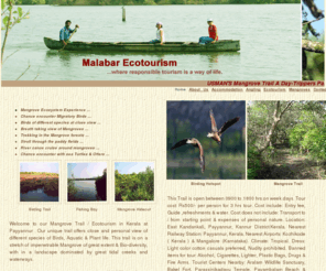 malabarecotourism.com: Usman's Mangrove Trail Mangroves Ecotourism Payyannur Kerala India
mangrove tourism and mangrove ecosystem