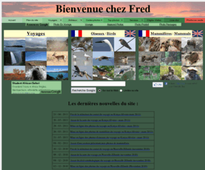 chezfred.info: Bienvenue chez Fred - voyages, photos, oiseaux, mammifères
Bienvenue chez Fred LEVIEZ, carnets et photos de voyages, photographies d'oiseaux et de mammifères