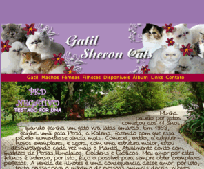 gatilsheroncats.com: Gatil Sheron Cats
