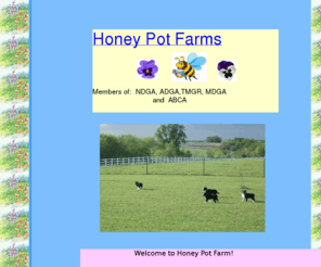 honeypotfarms.net: Honey Pot Farms, Winchester, KS mini nubian and nigerian dwarf dairy goats for sale
registered quality nubian goats, nigerian dwarf goats for sale, mini nubians for sale, small dairy goats,registered dairy goats, Border Collies,registered border collies, herding, agility,lionhead and holland lop bunnies to show and 4H