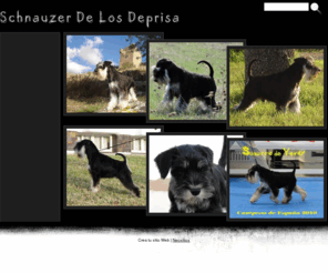 schnauzerdelosdeprisa.com: schnauzer de los deprisa
schnauzer de los schnauzer de los deprisa