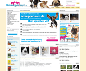 schnupper-mich.net: schnupper-mich.de - Das tierische Social-Network
Das tierische Social-Network