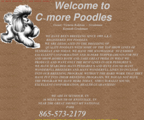 c-morepoodles.com: C-MORE POODLES
WE BREED TOY POODLES TO THE AKC STANDARD. BLACKS, BROWNS, WHITE AND SILVER. EXCELLENT LINEAGE AND PEDIGREES TO STAND BEHIND OUR DOGS.