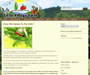littlevillagefarm.com: littlevillagefarm.com
Little Village Farm