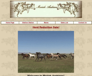 mariah-arabians.com: Mariah Arabians - Arizona Breeder of Straight Egyptian and American bred Arabians.
Mariah Arabians is a breeder of quality purebred Straight Egyptian and American bred Arabians. Specializing in bloodlines from Thee Desperado, Ansata, and other well known Egyptian lines, adding Varian, Polish, and Russian bloodlines for beautiful American breds  Arabians for Sale.