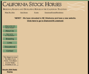 californiastockhorses.com: California Stock Horses
