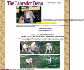 labradorden.net: THE LABRADOR DENN
I raise yellow and black Labrador Retrievers both as a hobby and as a serious breeder.  Come and check out our wonderful puppies.