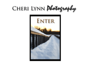 cherilynnphotography.com: Cheri Lynn Photography
Rockford, MI photographer specializing in portraits, landscapes and modern art. Photo-journalistic style in settings at your home or outdoor setting.