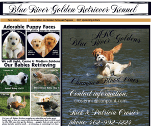 bluerivergoldenretrieverkennel.com: Golden Retriever Puppies for Sale
Blue River Golden Retriever Kennel located in Nebraska offers light Golden Creme Retriever puppies for sale.  Our AKC registered puppies are sweet and healthy making perfect family pets for loving families.