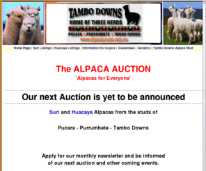 alpacas4sale.com.au: The Alpaca Auction
Suri and Huacaya Alpacas from the studs of Pucara - Purrumbete - Tambo Downs - Merungle by invitation.
