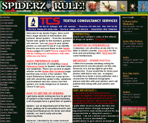 spiderzrule.com: Spiderzrule - the best site in the world about spiders, redbacks, huntsmen, garden orb weaver, funnel web, black widow, recluse, hobo spider, daddy long legs.
