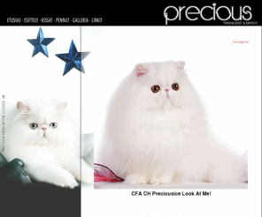 preciouscats.net: PRECIOUS Persians & Exotics
