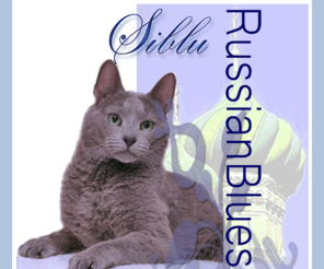 siblurussians.com: Russian Blues | Russian Blue Kittens for sale| Russian