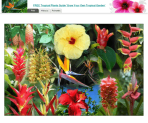 bestindoortropicalhawaiianhouseplants.com: Free Tropical Plants Guide - Best Indoor Exotic Tropical Houseplants - Best Indoor Tropical Houseplants For Your Tropical Garden
FREE tropical plants guide on how to grow tropical plants as indoor tropical plants Grow your best indoor tropical houseplants Grow your own tropical garden with the best exotic plants