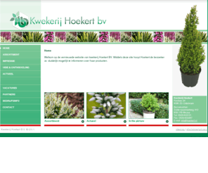 hoekert.nl: Kwekerij Hoekert, specialist in de teelt van kwalitatief hoogstaande bomen, planten en gewassen
Kwekerij Hoekert BV is een innovatieve plantenkwekerij in Wezep. Er worden tuinplanten gekweekt van hoogstaande kwaliteit. De klanten zijn tuincentra, bouwmarkten en grootwinkelbedrijven, waarbij men vooral gericht is op de impulsaankopen van de consument