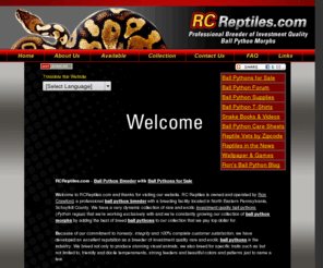 ballpythonforsale.com: Ball Python Breeder Homepage - Ball Pythons for Sale - Welcome to RCReptiles.com - Professional Breeder of Ball Python Morphs
ball python breeder with ball pythons for sale. A ball python breeder working with quality ball python morphs where customer satisfaction is #1!