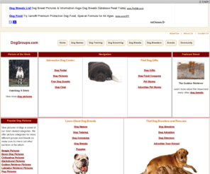 doggroups.com: All Dog Breeds Welcome! | Dog Groups.com Dog Groups.com
