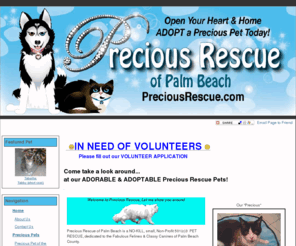 preciousrescue.com: Welcome to Precious Rescue of Palm Beach
Welcome to Precious Rescue of Palm Beach