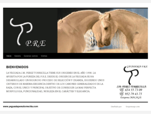 yeguadapereztorrecilla.com: www.yeguadapereztorrecilla.com | Ganaderia de caballos, ventas de caballos, yeguas, sementales, potros.
Venta de caballos, j.m. perez torrecilla , caballos perez torrecilla, caballos, venta de caballos, yeguada, sementales, caballos españoles