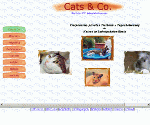 cats-and-co-tierpension.de: Cats & Co.
