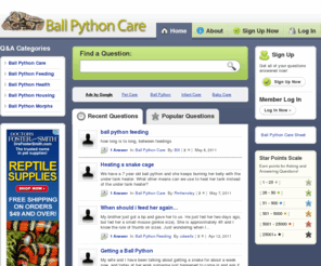 ballpythoncare.org: Ball Python Care
Give your Ball Python the care it deserves. Check out our Ball Python Care Sheet and more information about keeping these amazing reptiles.