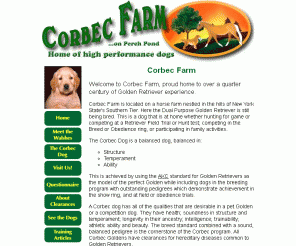 corbecgold.com: Corbec Farm - Breeders of quality Golden Retrievers for over a quarter century
