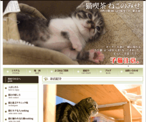nya-n.jp: 猫がいる喫茶店【東京 町田】ねこのみせ
くつろげる事が第一をコンセプトに自宅リビングのようにくつろげる場所を目指して作った「猫がいる喫茶店」ねこのみせ