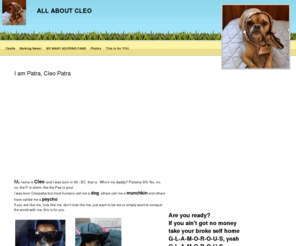 allaboutcleo.com: All About Cleo
Home Page