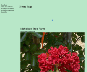 nicholsontreefarm.com: Home Page
Home Page